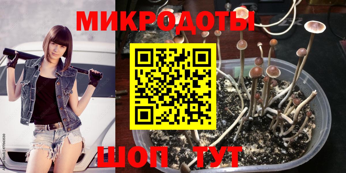 Галлюциногенные грибы мухоморы  Вход с VPN  Кимры  Псилоцибиновые грибы Magic Shrooms 